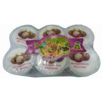 銘馨果凍含椰果(山竹味)/660克