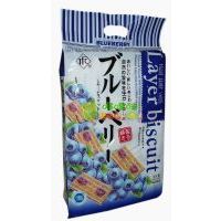 TFC藍(lán)莓派450克